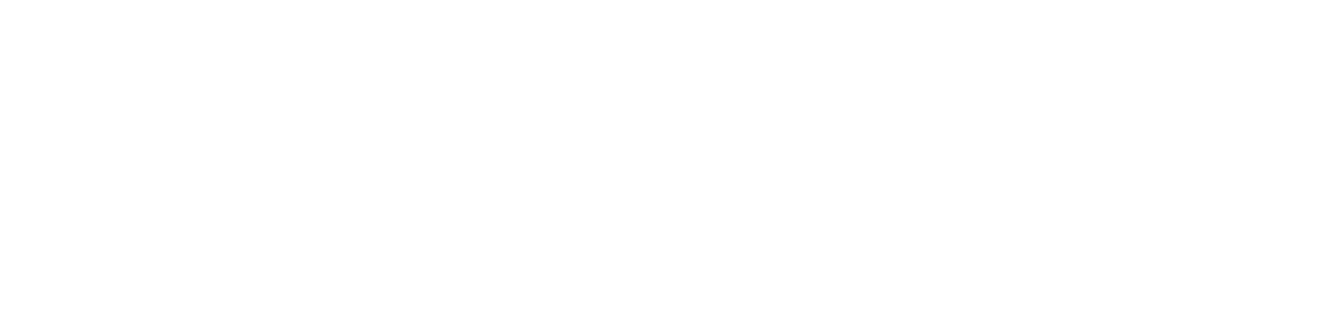 NZ Govt logo